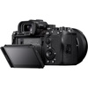image:imageSony Alpha 9 III Mirrorless Camera with Worlds First FullFrame 246MP Global Shutter System and 120fps BlackoutFree Continuous ShootingCamera Only