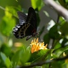 image:imageSony Alpha a6700 Mirrorless Camera with E PZ 1650mm f356 OSS II Lensw18135mm Lens
